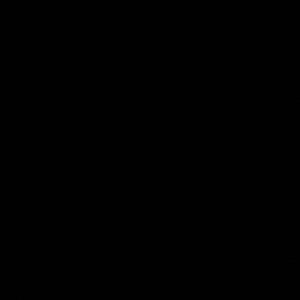 Meet your Posher, Cody